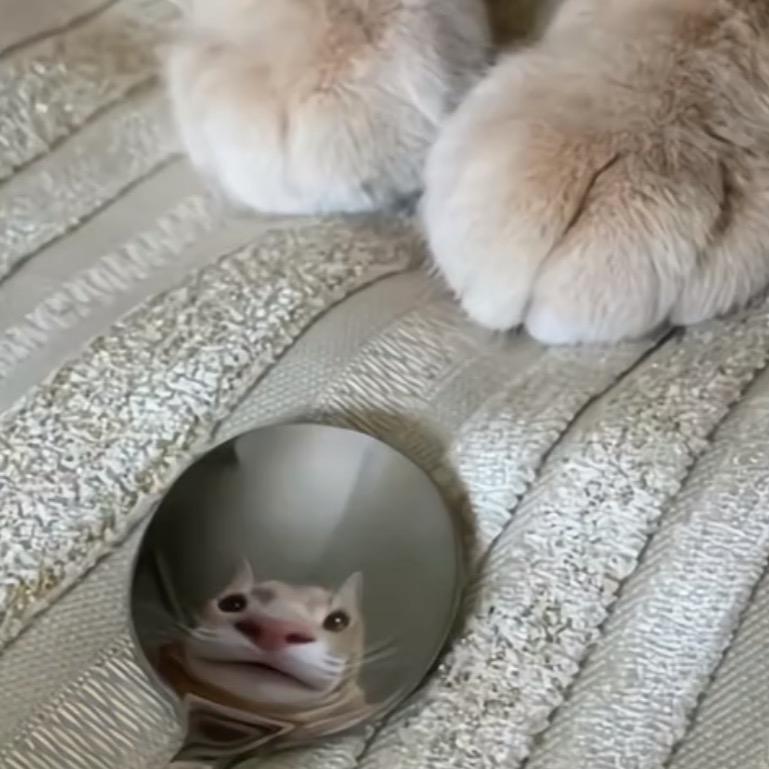 谢哈哈