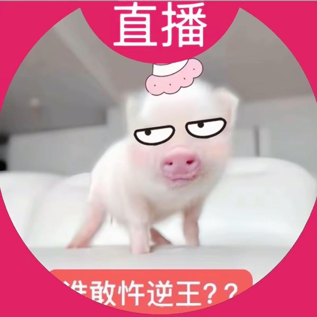 一个河南入