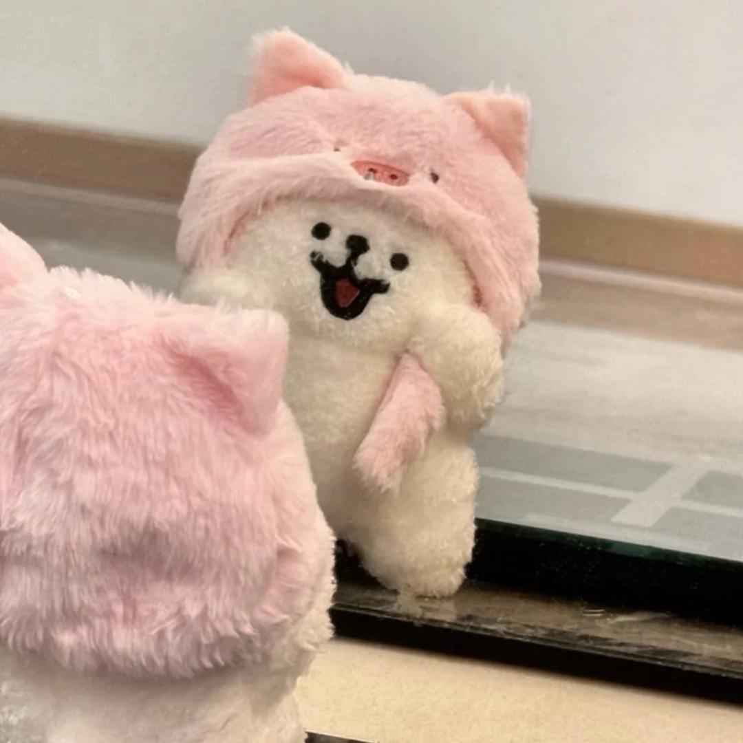 猪猪不吃奶糖🍬