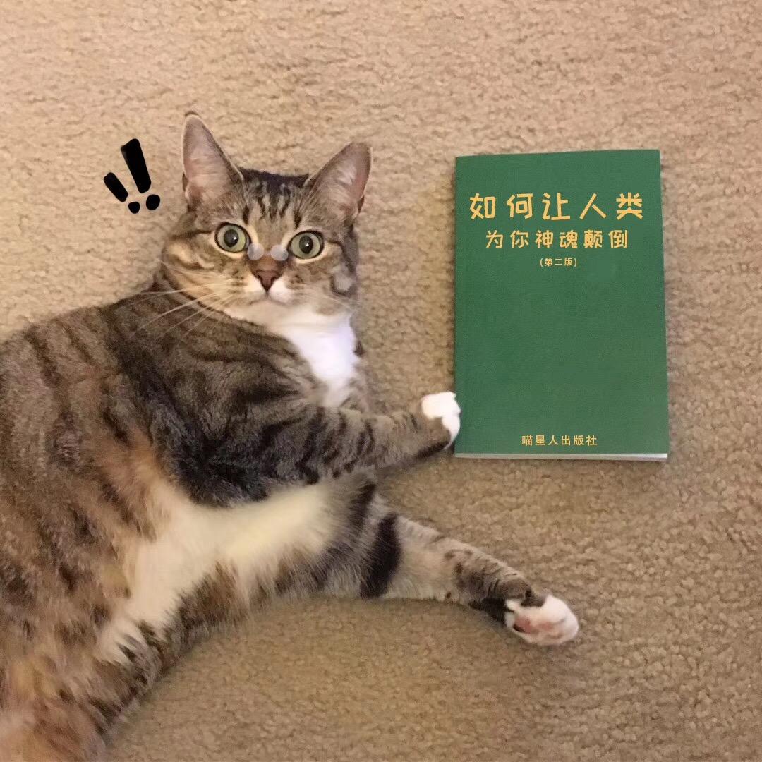 我有一个朋友