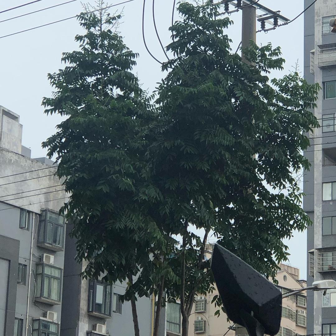 乱糟糟