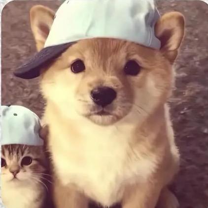 鹤轩.