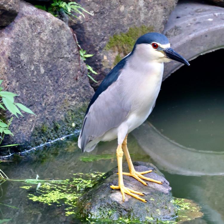 張⁝⁞⁝⁞