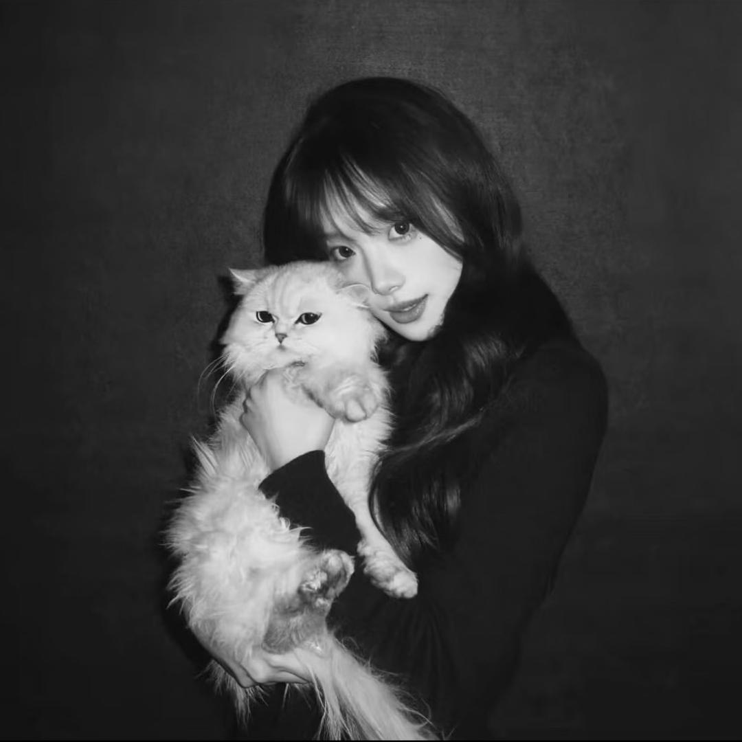 我也不太了解她