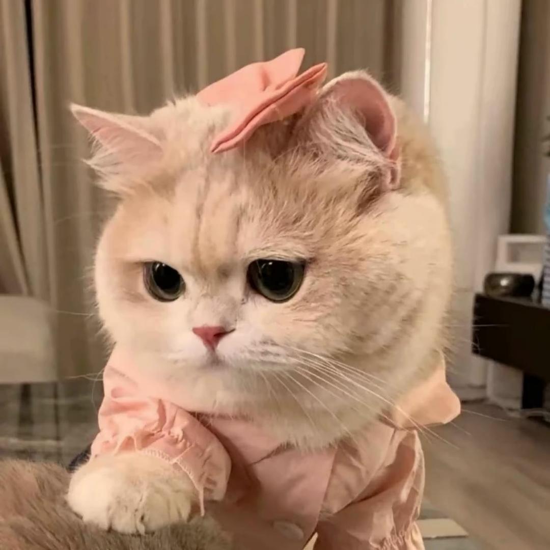 皮.