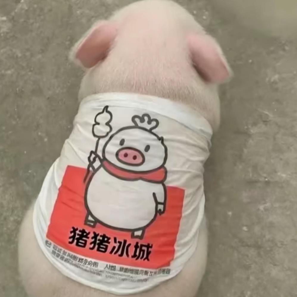 今天拉臭臭了吗