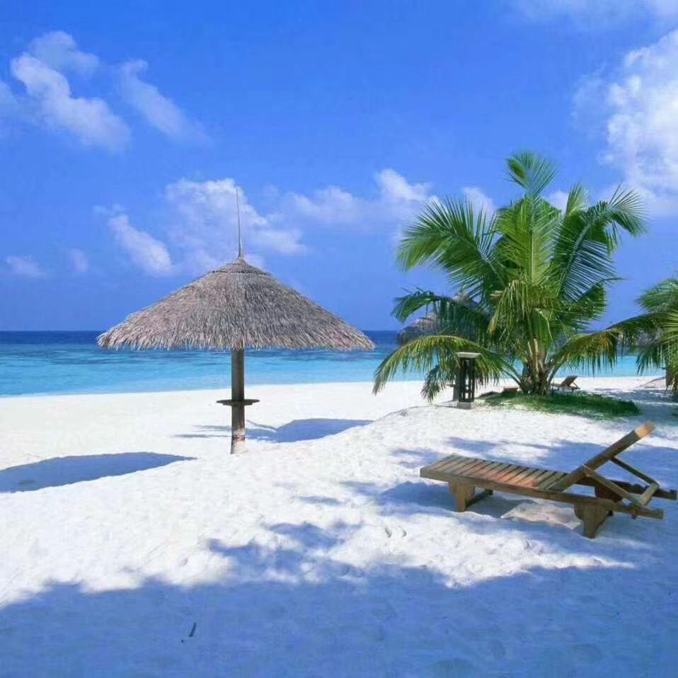 🚗🚗🚗叨软咪