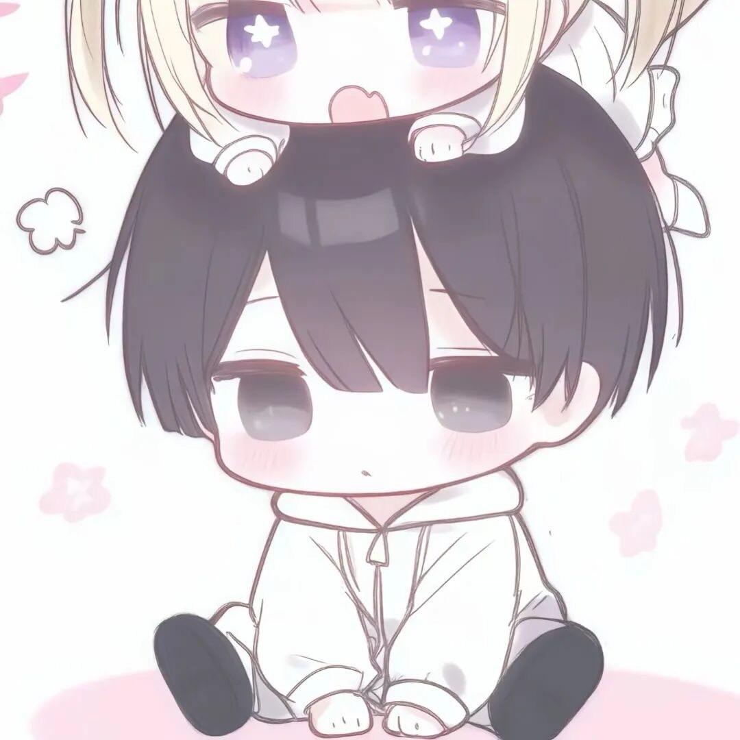 养一只月亮