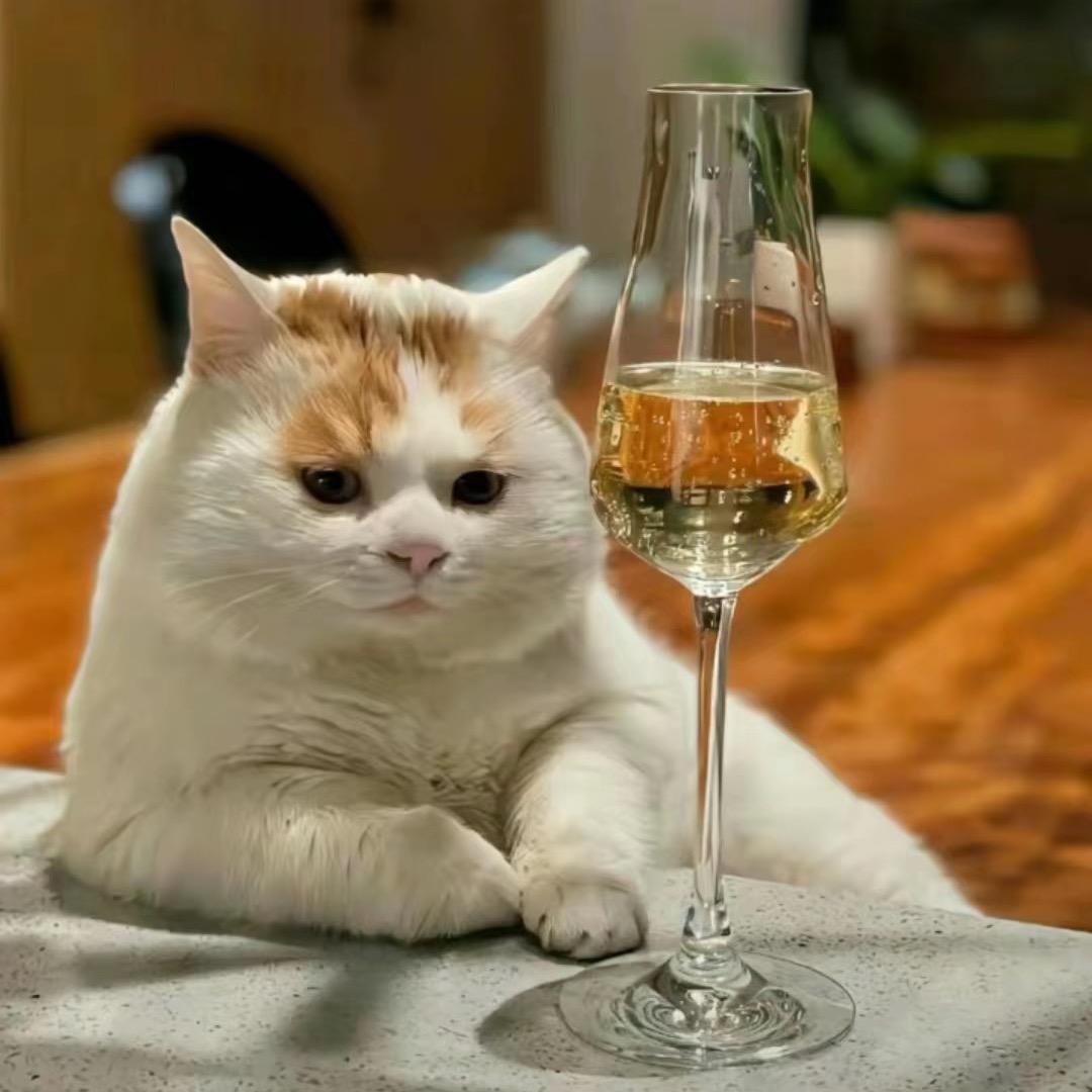 🌈碳酸扳手🔧