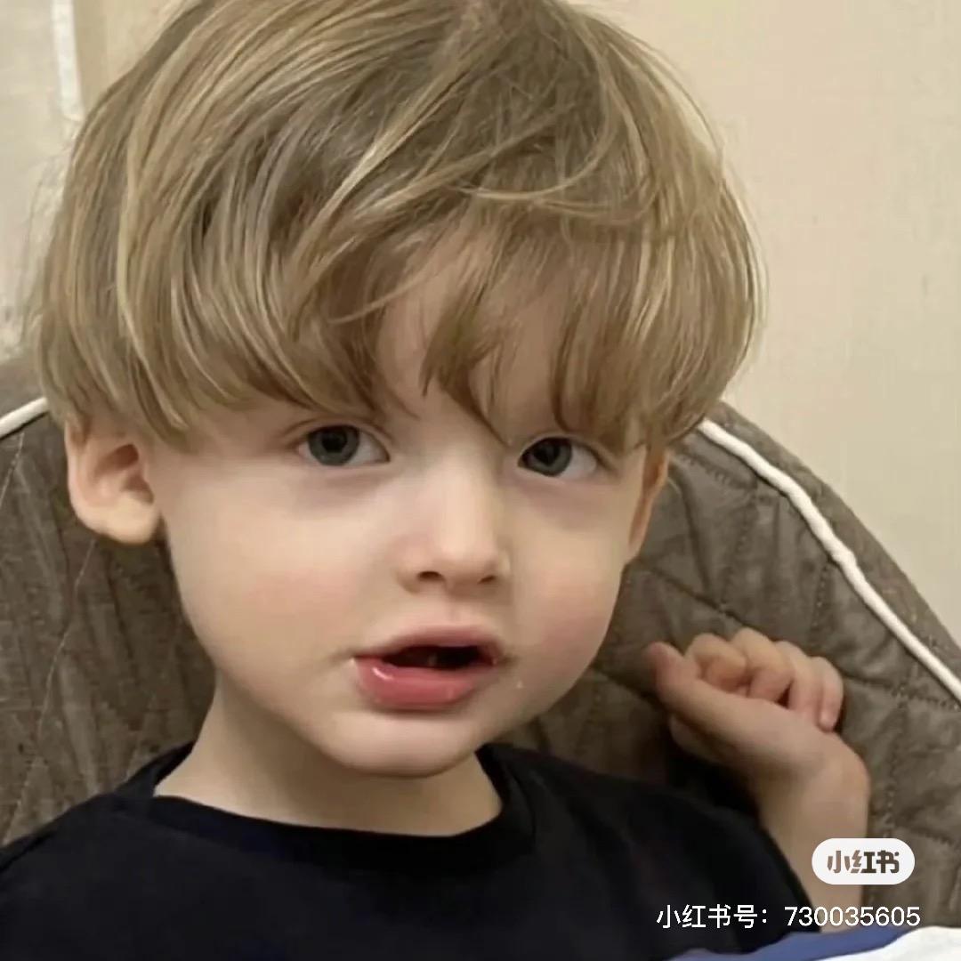 无敌呆呆鱼#42115