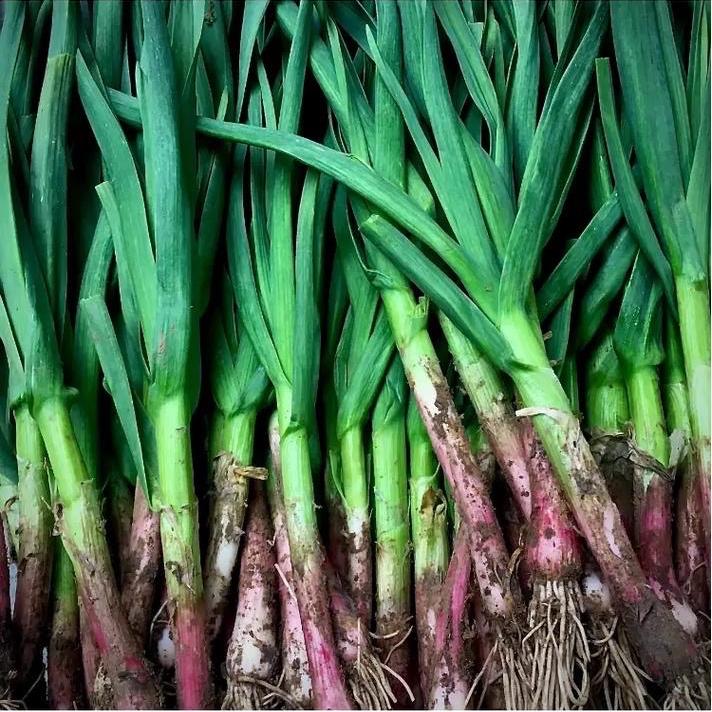 农家传统滋补店