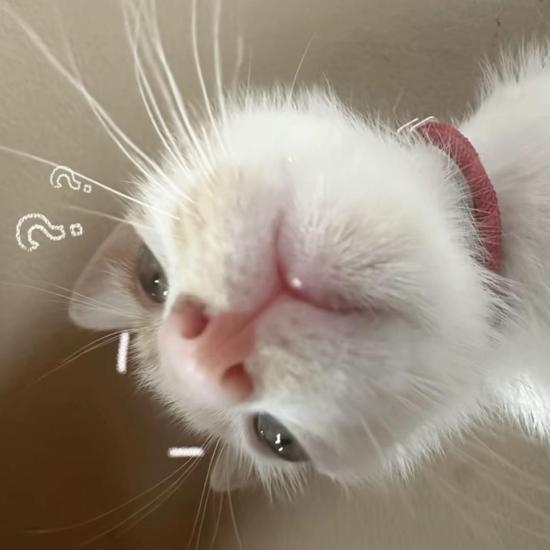 佳木斯大拐
