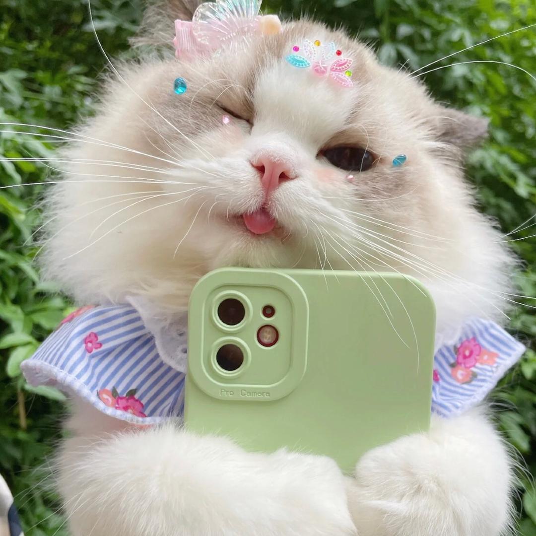 嘻哈哈齐刷剧😁