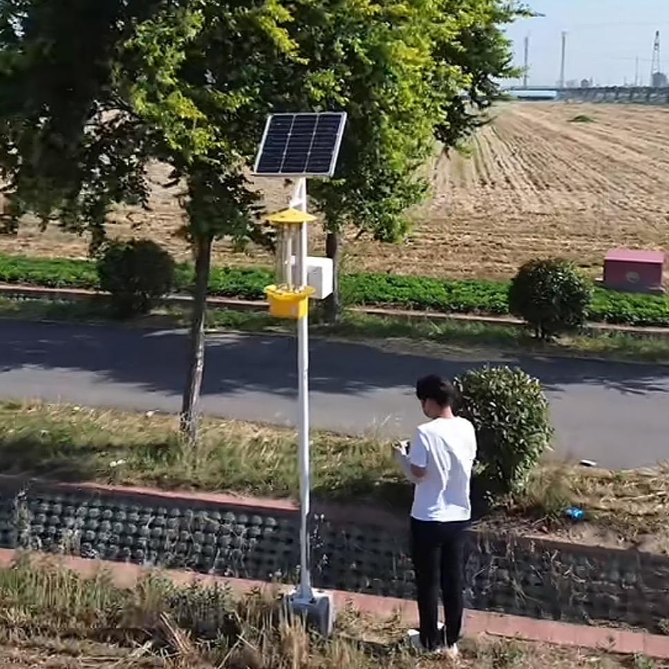 生活在郸城