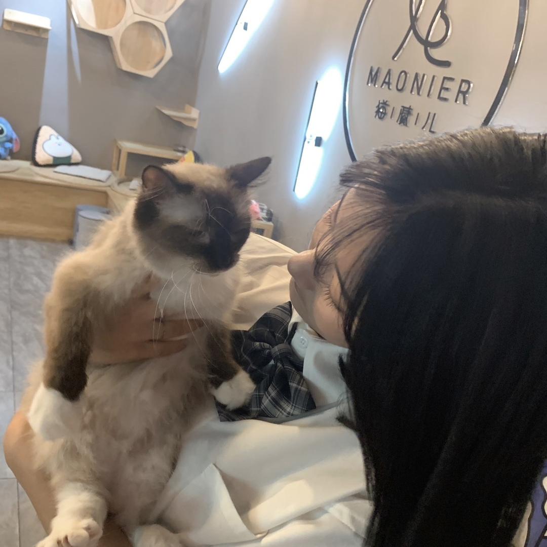 爱妻酱香饼