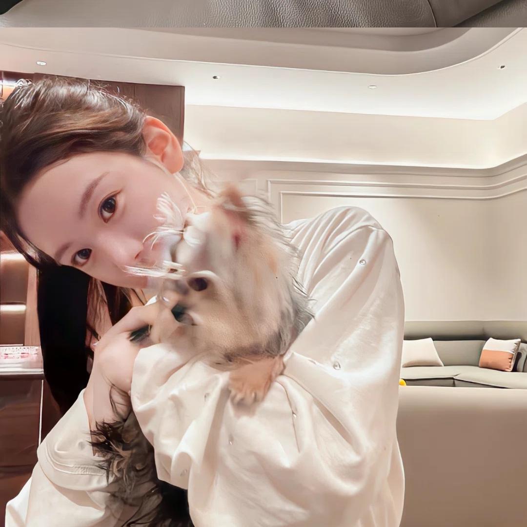 ㅤㅤㅤㅤㅤㅤㅤㅤOo