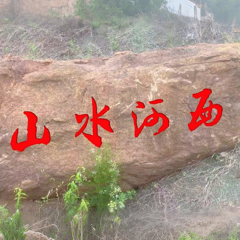 养狗大爷 的简单生活🐶🐕