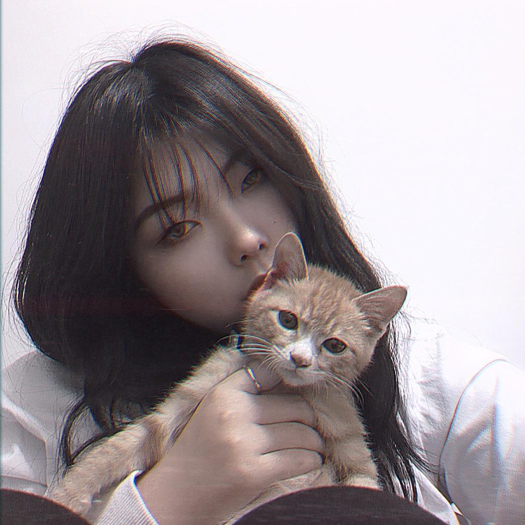 我爱吃炸冷面夹.