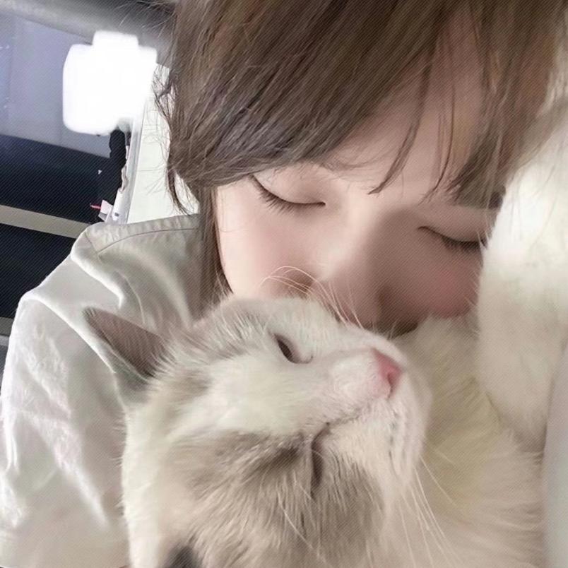 刘诗诗ㅤ ︂︄