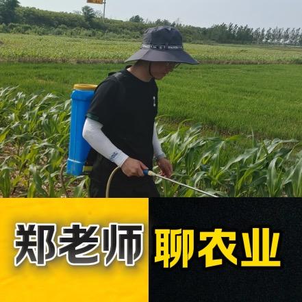 郑老师说农业