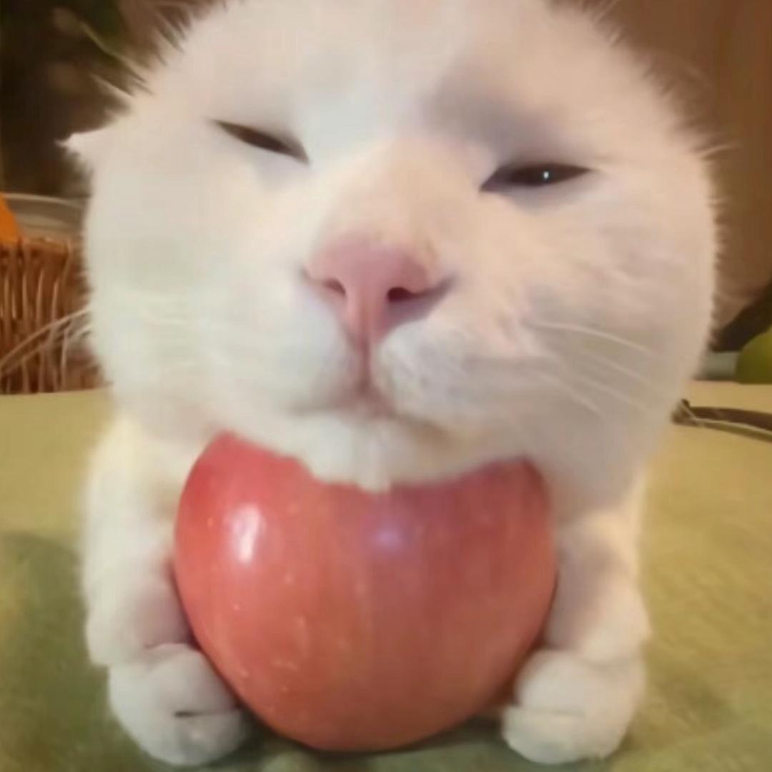 风吹头像