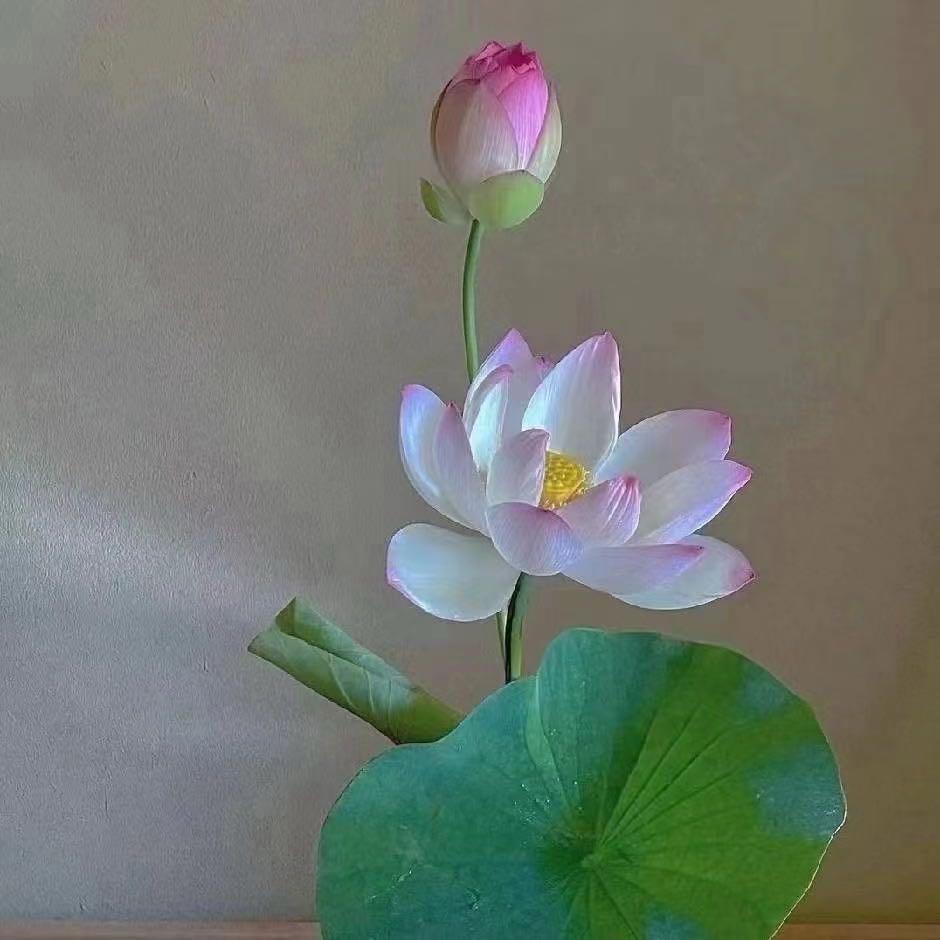 一人只一心