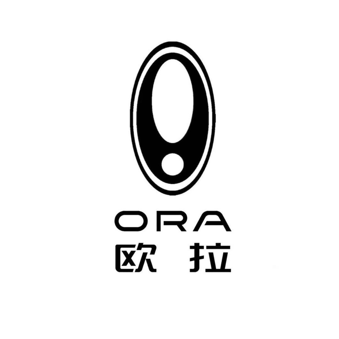 欧拉好猫西安总店