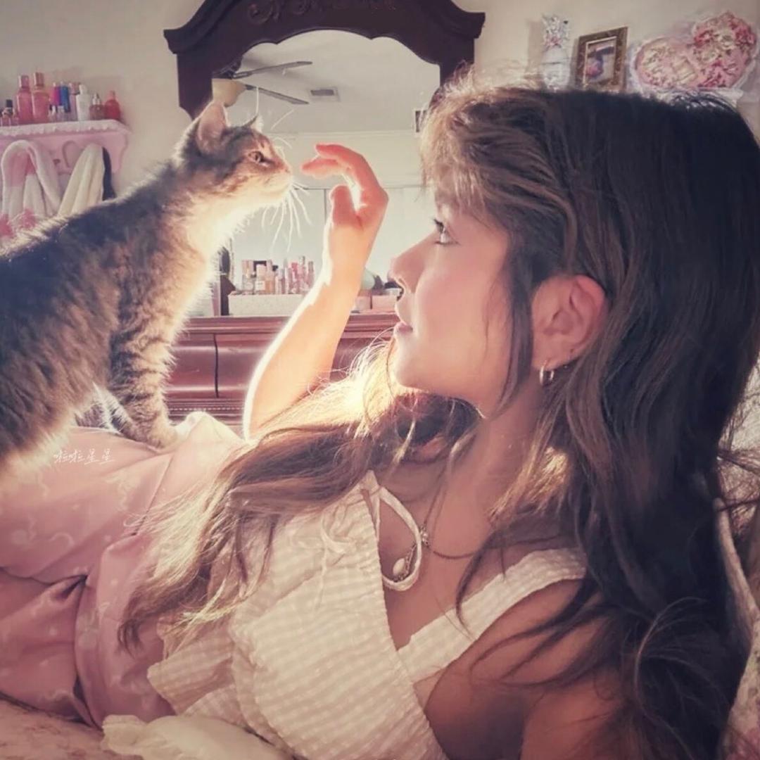 我的猫不喜欢我