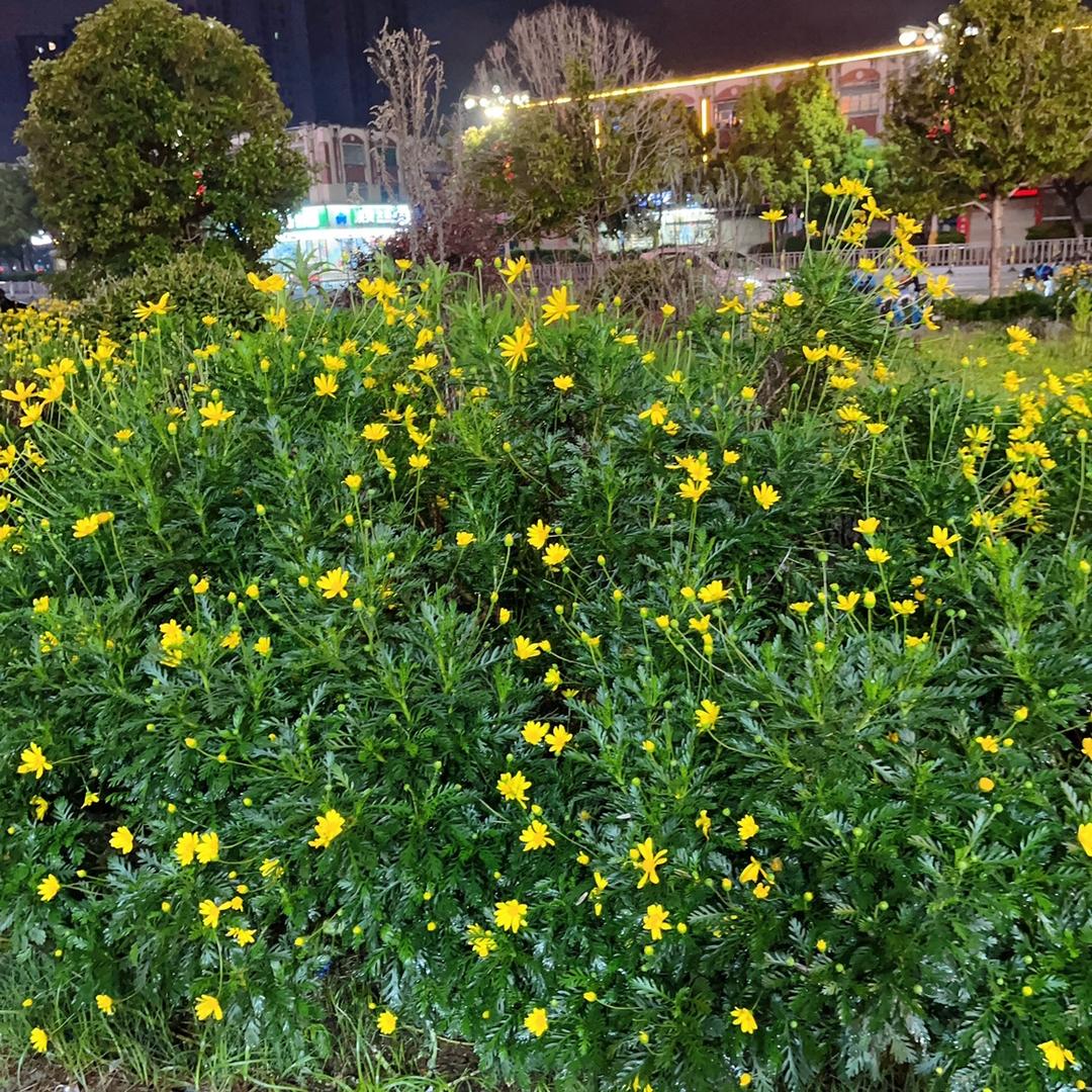 独角戏