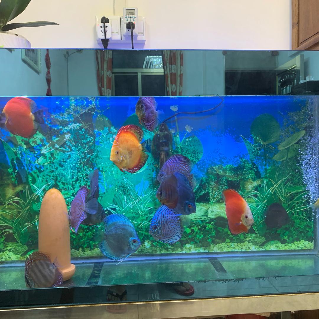 明天会更好