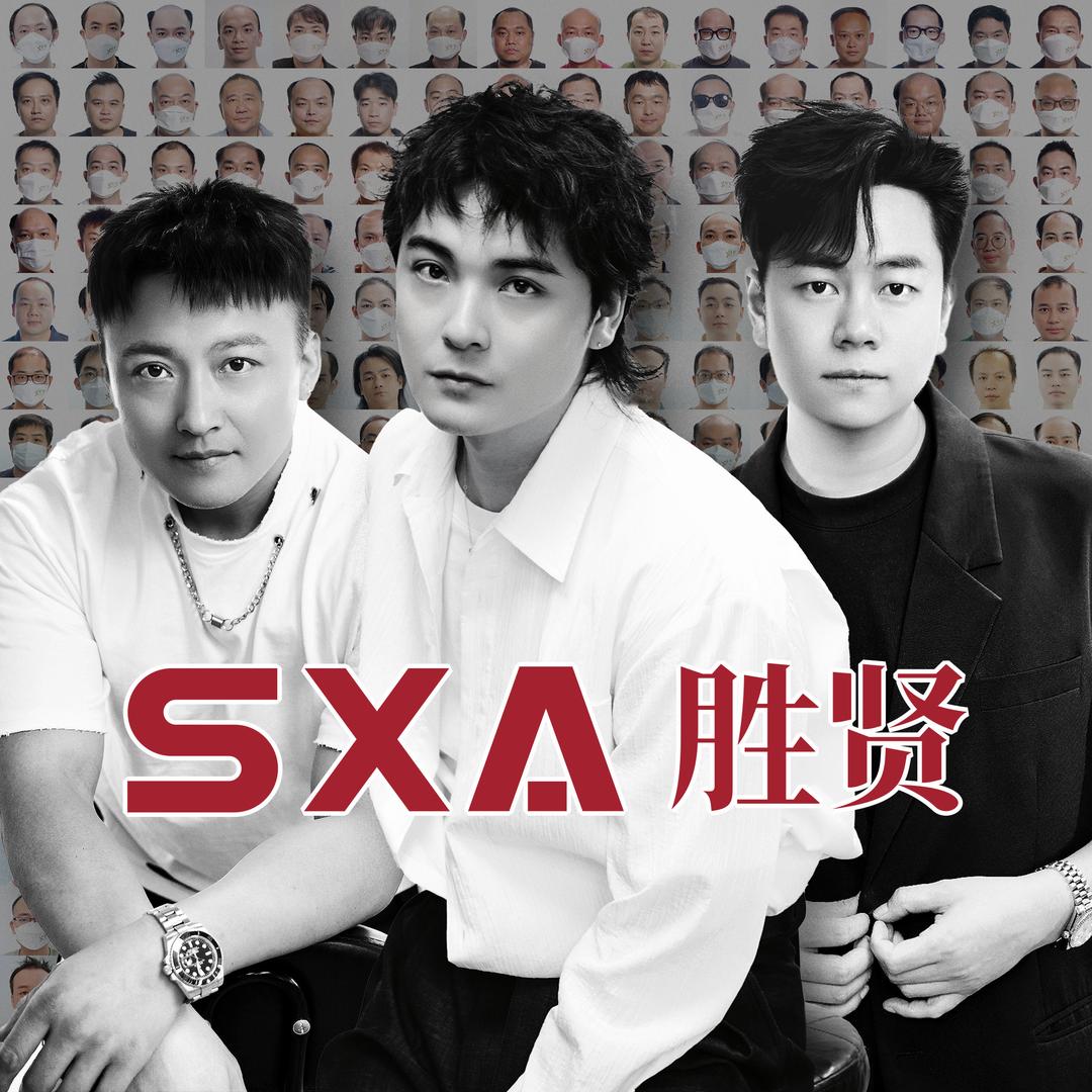 广州\深圳胜贤男士假发专业定制