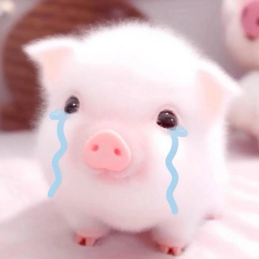 我就作怎么了