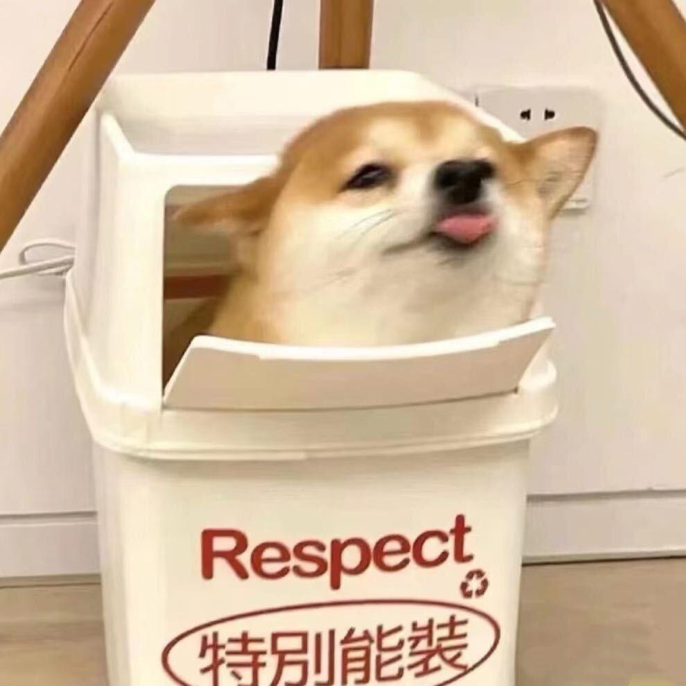 摆摆