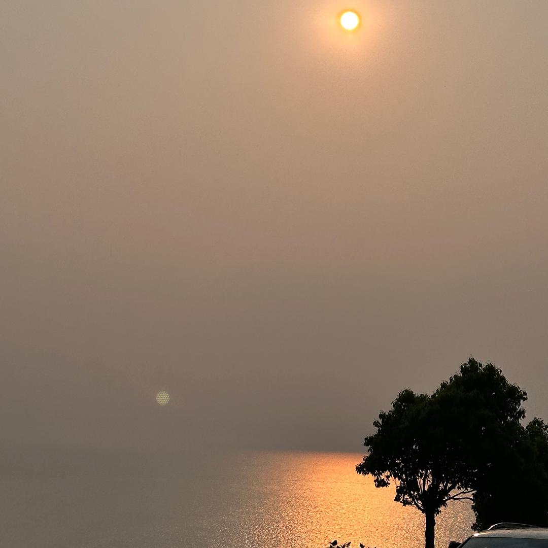 李·小姐
