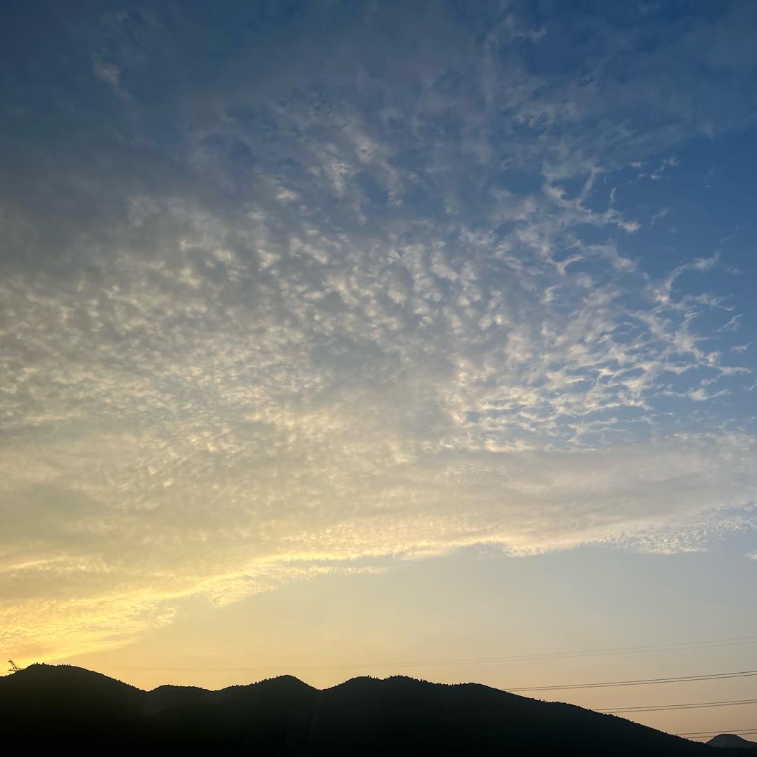 囍财❤️多喜乐