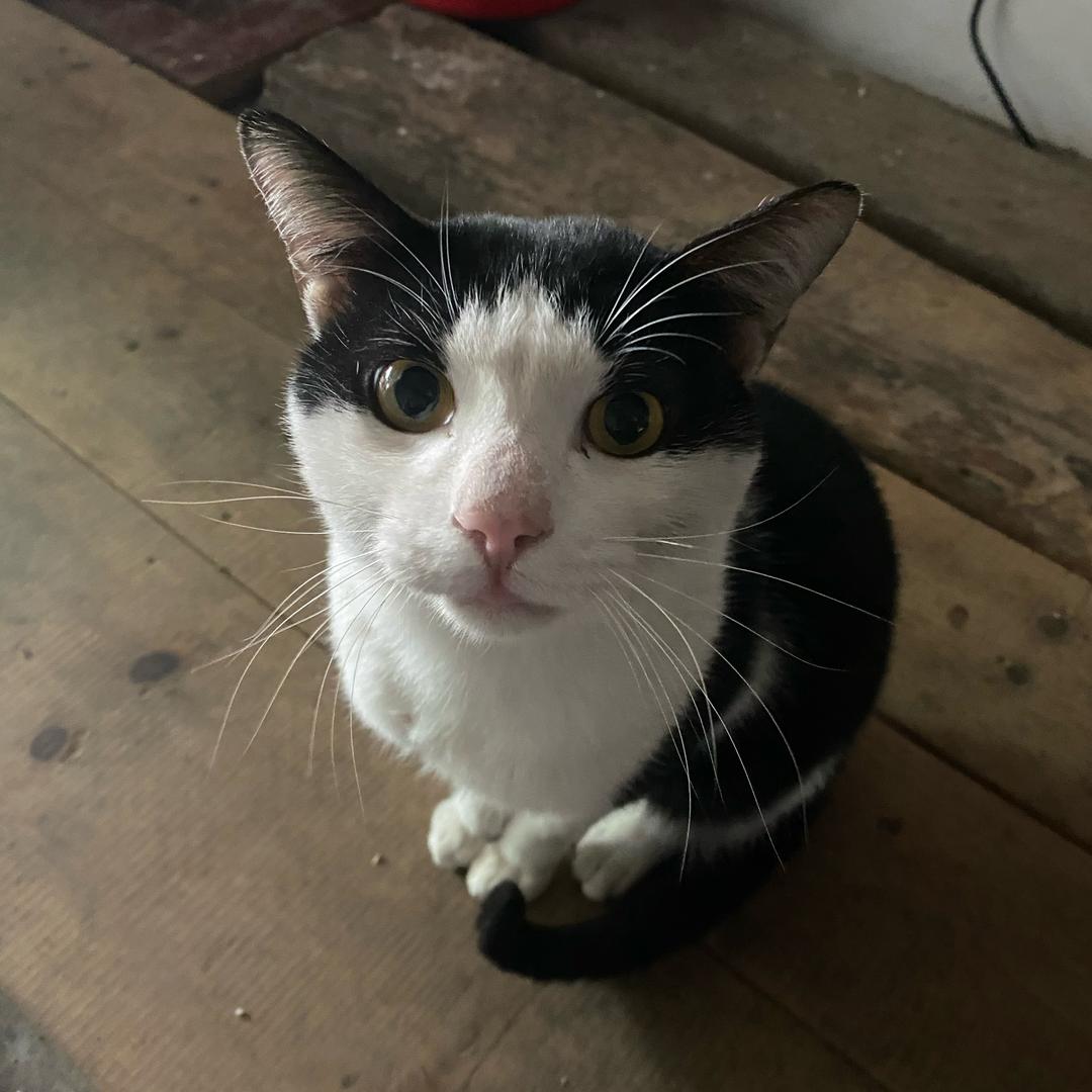 圣角鹿闽清县凯茂商贸有限公司专卖店