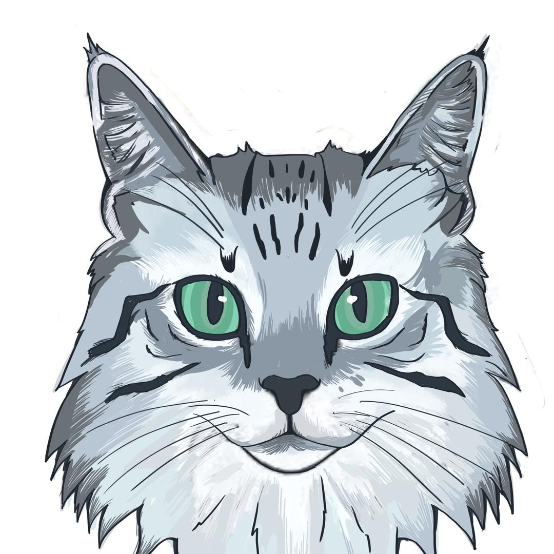蓉蓉的缅因猫