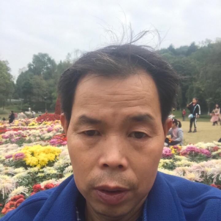 何庆兵