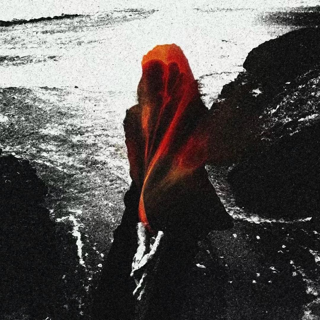 _Ao.