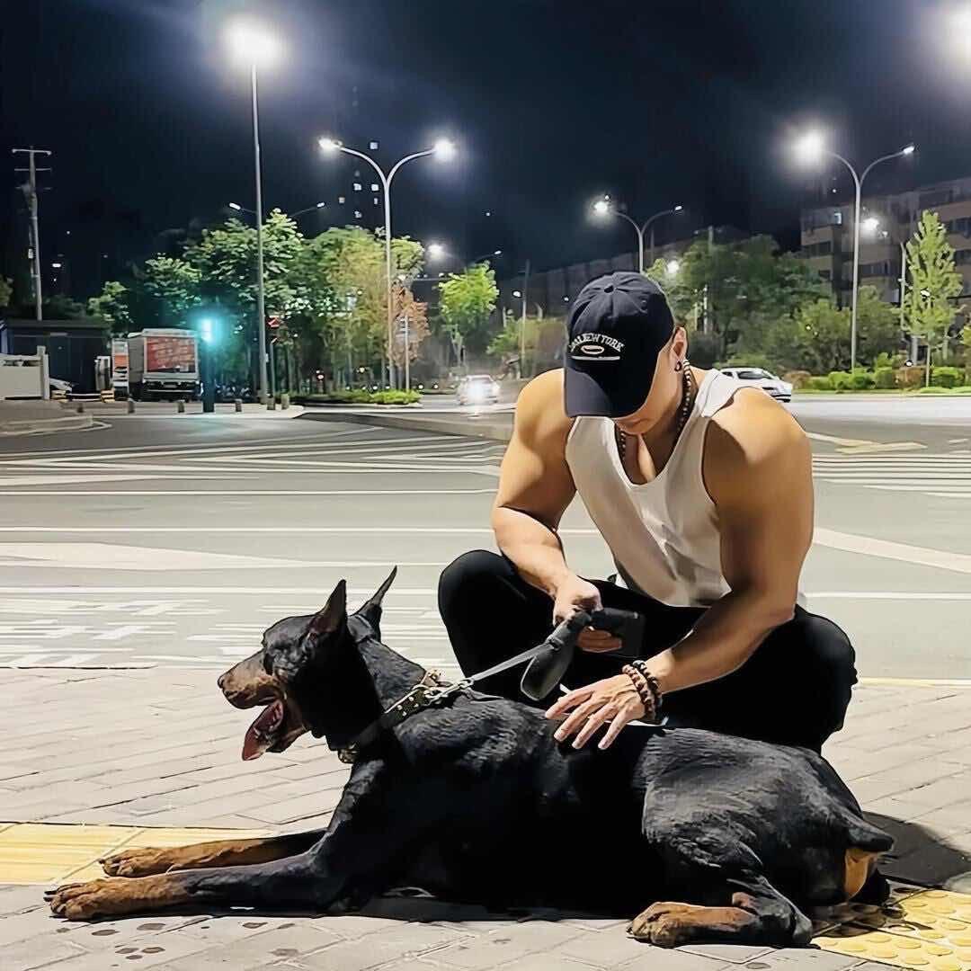 🔥[壹 号 选 宠】🐶
