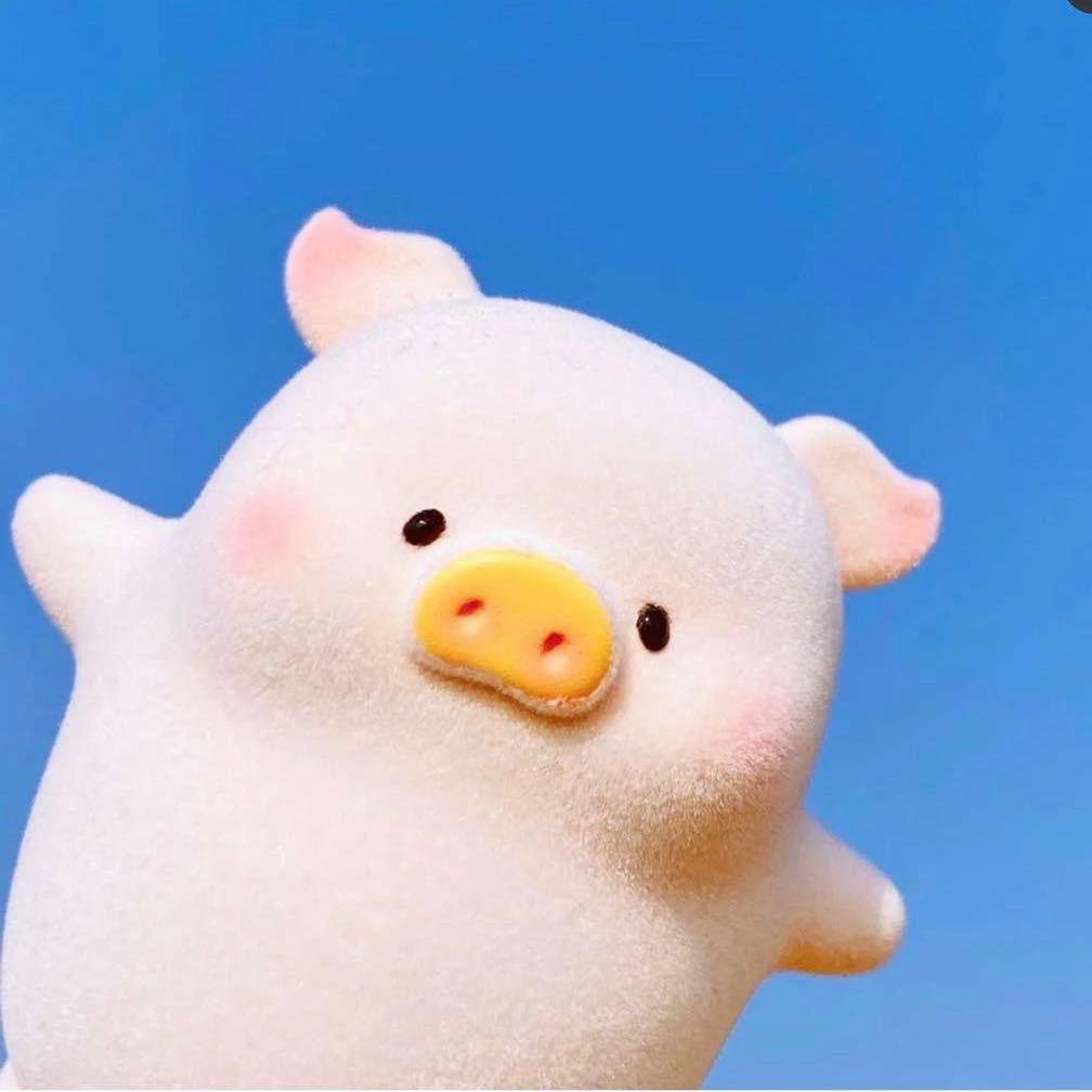 喜欢丑的🎈