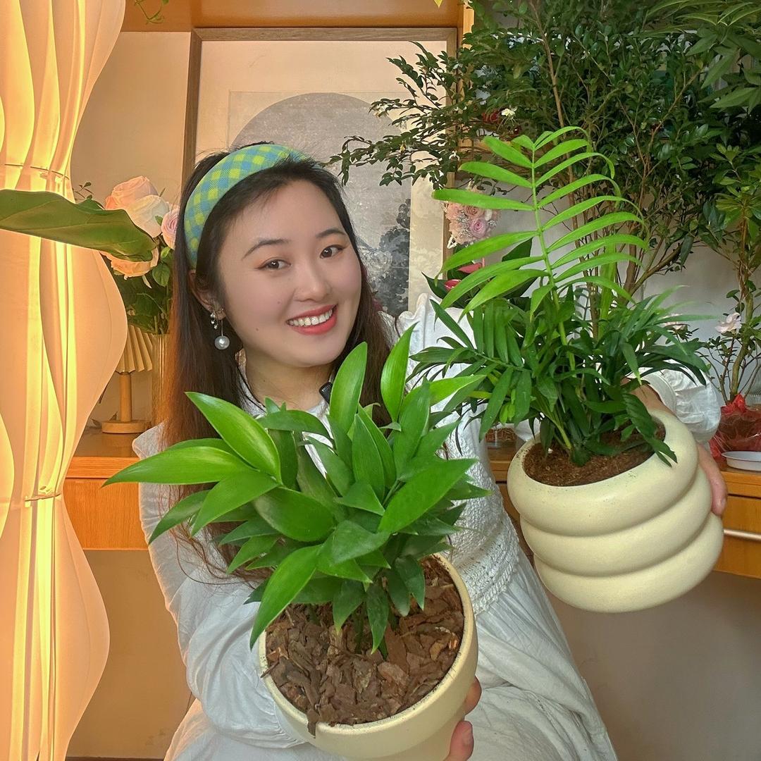 乐乐植