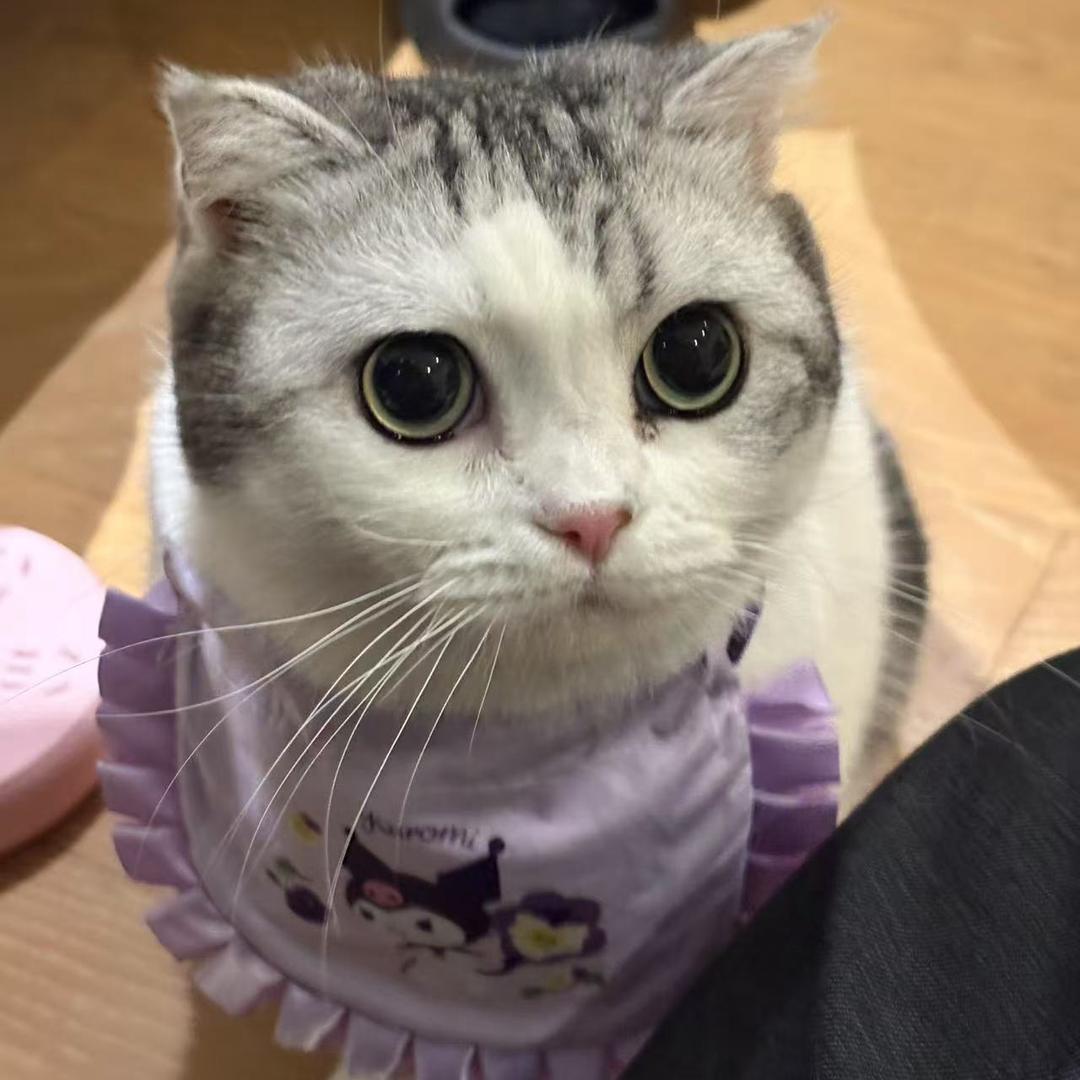 小吴