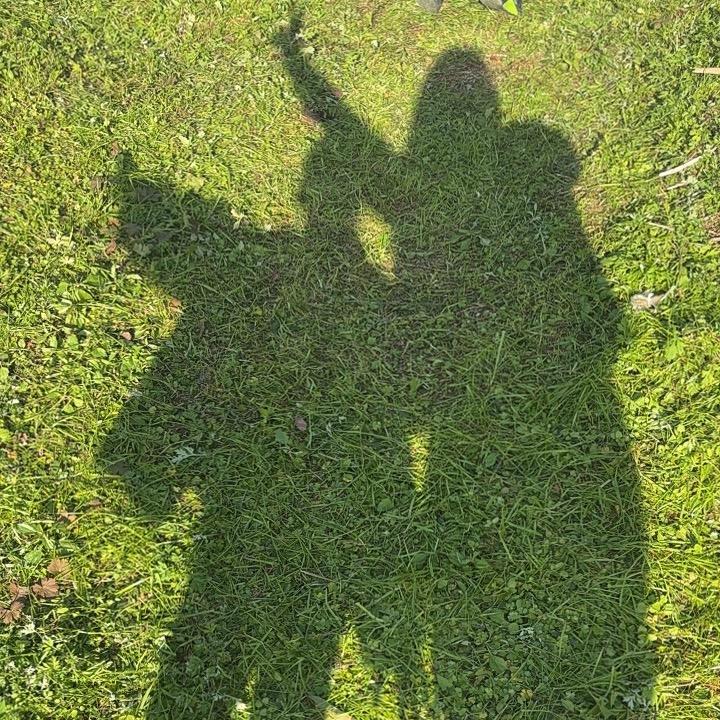 🌸 ℳ๓ 一介俗人°ꦿ: ᭄: