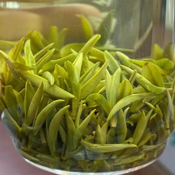 陶老二茶行