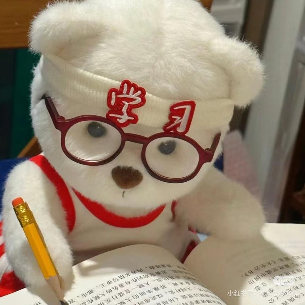 湖北升本学姐～