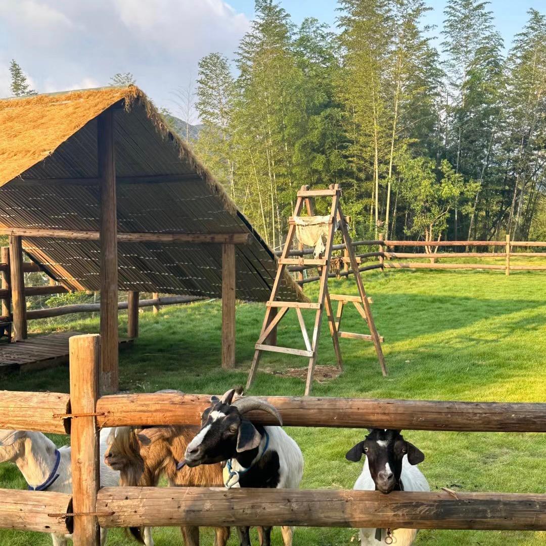 小宝未来农场店