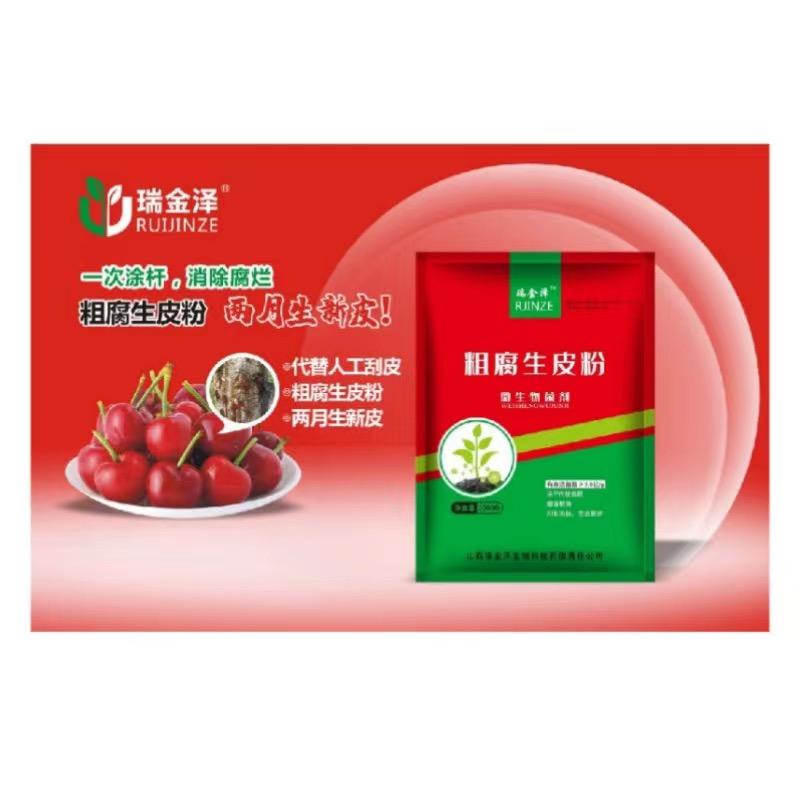 园林工具董安琪