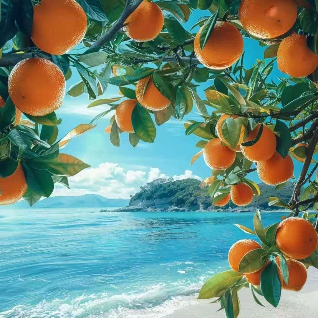 🇨🇳⛵️名都君一帆风顺⛵️🍓🧊