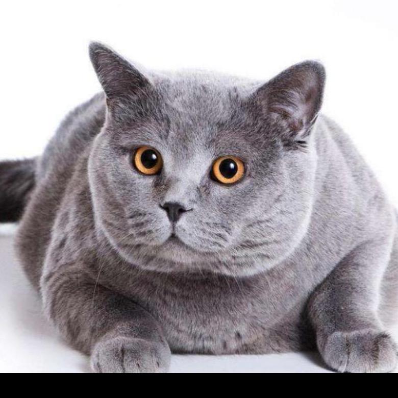 宠物用品批发仓